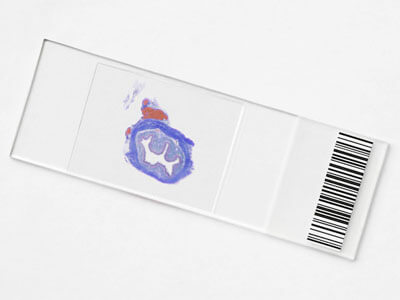 microscope slide with barcode label