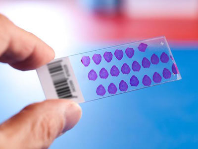 microscope slide with barcode label